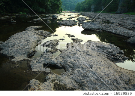 Iwate Prefecture Hanamaki City Taira Tree Monke Kaishikawa 16929889