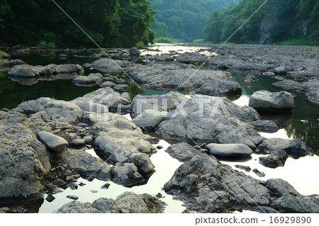 Iwate Prefecture Hanamaki City Taira Tree Monke Kaishikawa 16929890