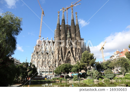 Sagrada Familia's Cathedral Sagrada Familia's Cathedral 16930083
