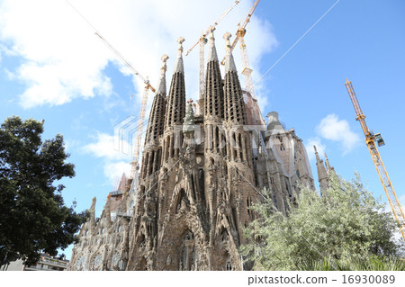 聖家族大教堂 16930089