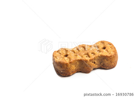 Groundnut shaped biscuit isolated in white Groundnut shaped biscuit isolated in white 16930786