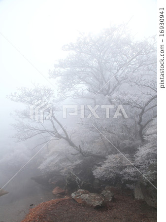 Lakeside of mist 16930941