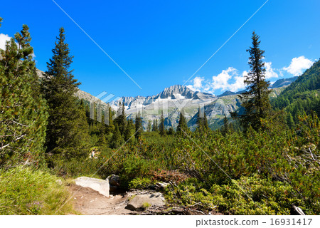 Care Alto - Adamello Trento Italy Care Alto - Adamello Trento Italy 16931417