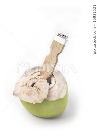 Coconut grater isolated with coconut on white Coconut grater isolated with coconut on white 16931521