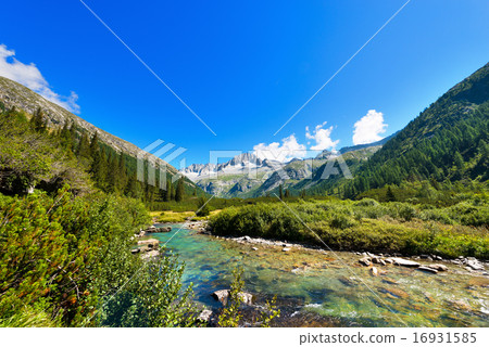 Care Alto - Adamello Trento Italy 16931585