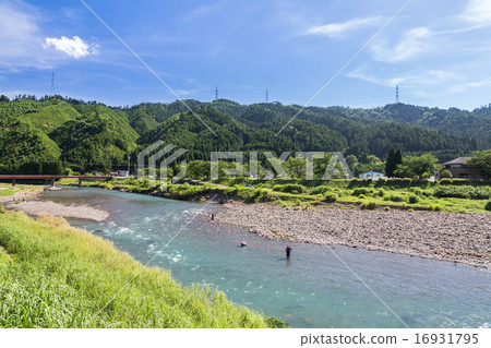 炒阿玉 炒阿玉 16931795