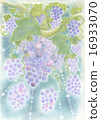 Tropical fruit grapes 16933070