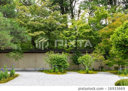 廬山寺 - 桔梗 16933669