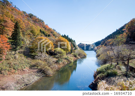 Mountain stream 16934710