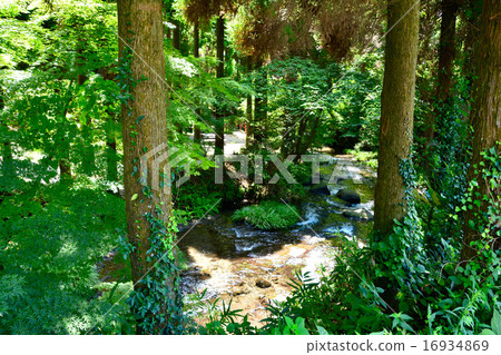 South Aso Shirakawa water source South Aso Shirakawa water source 16934869