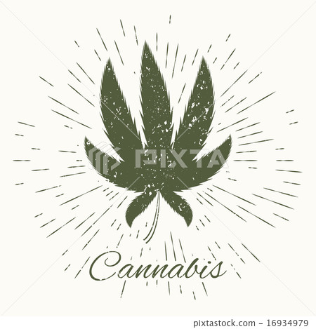 cannabis and vintage sun burst frame cannabis and vintage sun burst frame 16934979