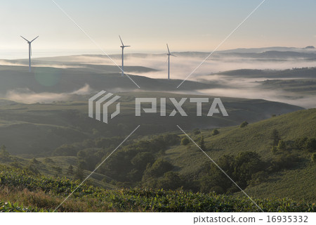 Sōya Hills 16935332