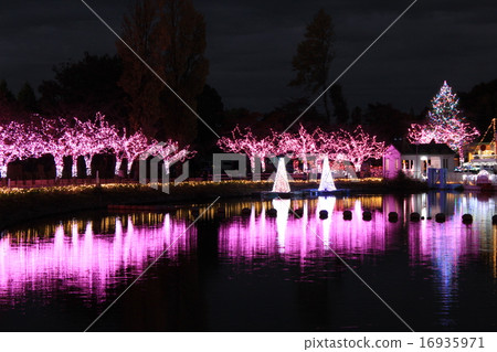 東武動物園的照明 東武動物園的照明 16935971