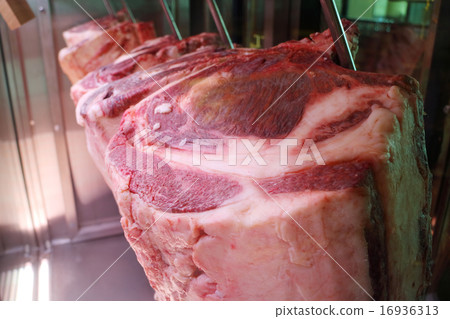 老化牛肉 16936313