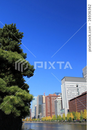 丸之內摩天大樓 16936362