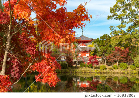 Daimyoji monument 16938802