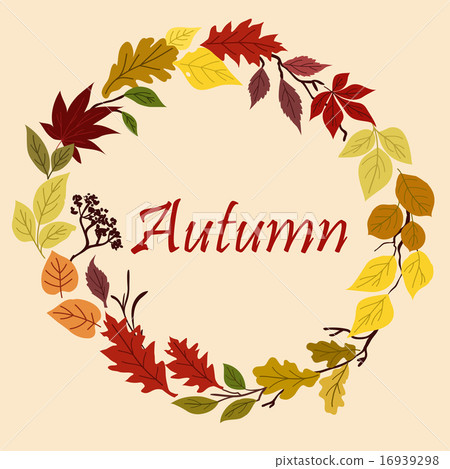 Autumnal yellow, red, orange and green leaves Autumnal yellow, red, orange and green leaves 16939298