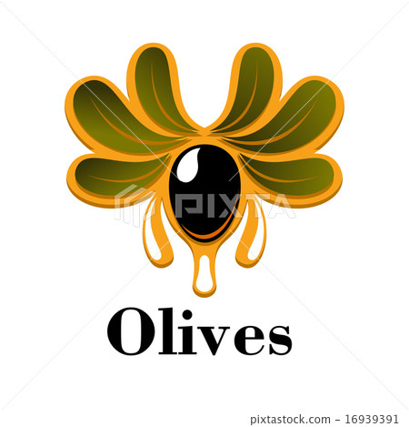 Black olive fruit with oil drops and leaves Black olive fruit with oil drops and leaves 16939391