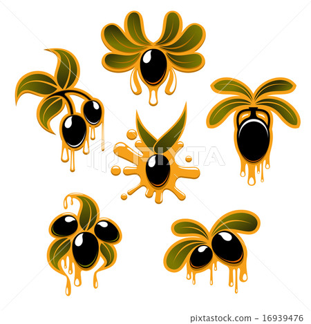 Olive branches with black fruits and oil drops 16939476