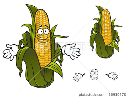 Cartoon sweet corn or maize vegetable Cartoon sweet corn or maize vegetable 16939578