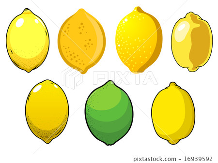 Juicy fresh lemons and lime fruits Juicy fresh lemons and lime fruits 16939592