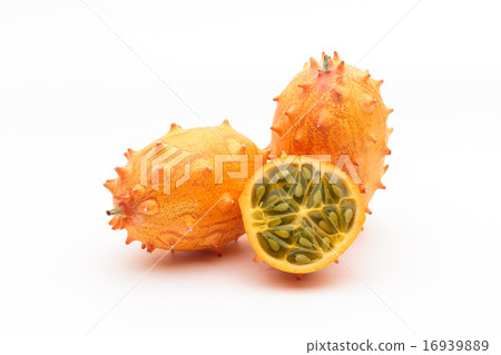 Tsunonigauri Tsunonigauri 16939889