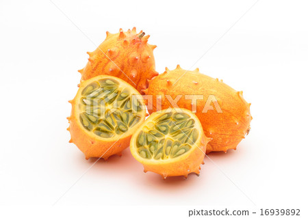 Tsunonigauri Tsunonigauri 16939892