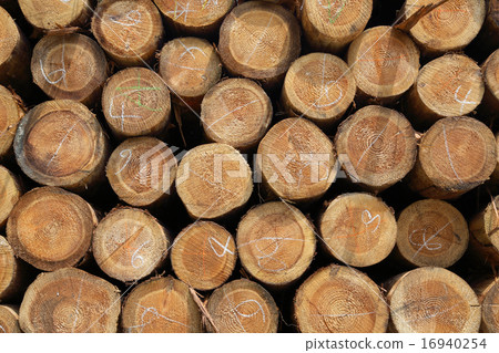 Log background 16940254