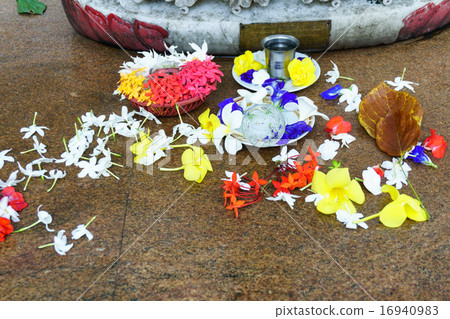 flowers flowers 16940983