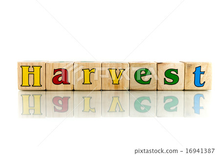 harvest harvest 16941387
