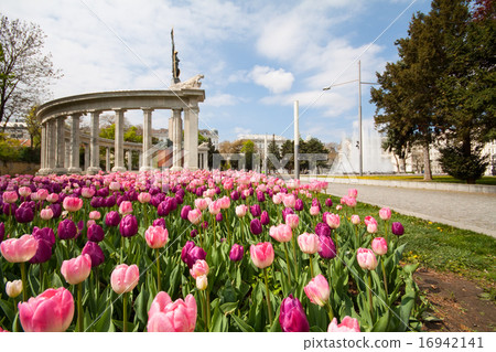 Schwarzenbergplatz 16942141