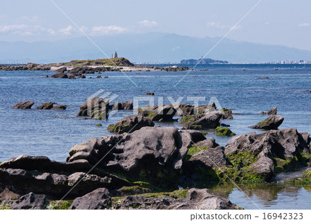 從天神島臨界自然教育園（佐久，橫須賀）觀看Kasasima和江之島 16942323