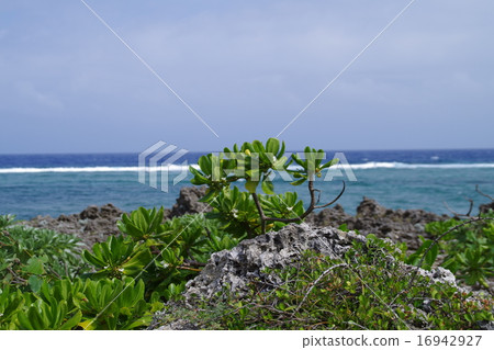 Kudakajima landscape Kudakajima landscape 16942927