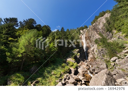 Waterfall Regina del Lago - Adamello Trento Italy 16942976
