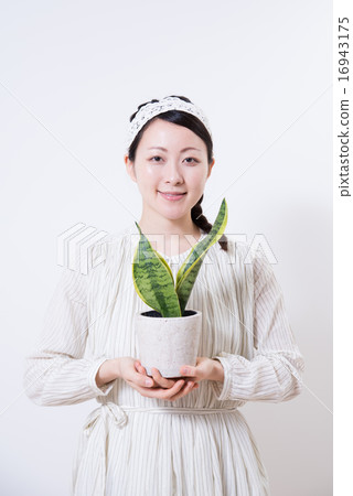 生態女士 16943175