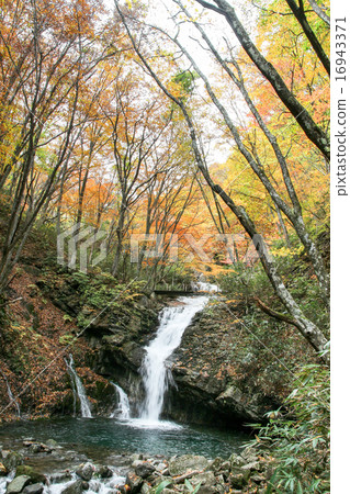 Autumn leaves valley Autumn leaves valley 16943371