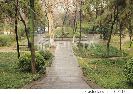 合肥流花津公園張遼米 合肥流花津公園張遼米 16943701