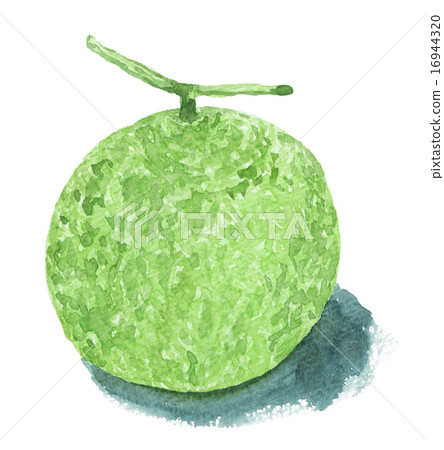 fruit, fruits, muskmelon 16944320