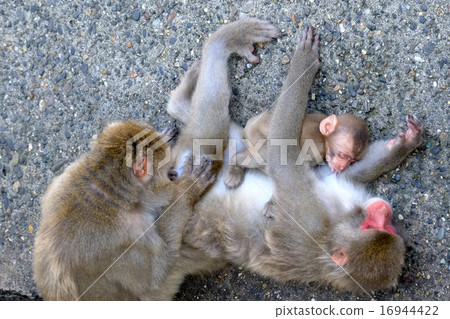 Child with milk and grooming (1) Child with milk and grooming (1) 16944422