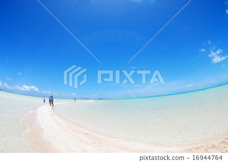 大溪地藍色海 16944764