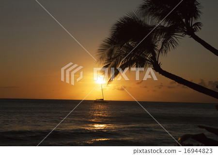 Sunset on Maui Island 16944823