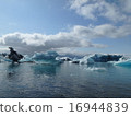 Iceberg 16944839