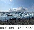 Iceberg 16945232