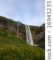 Waterfalls and flowers 16945235