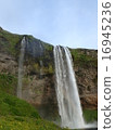 Waterfalls and flowers 16945236