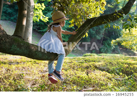 爬樹的女孩 爬樹的女孩 16945255