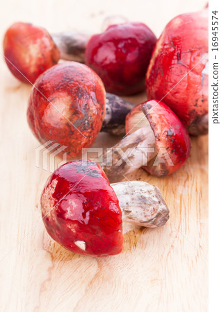 Fresh Rosy Russula fungi on wooden plate Fresh Rosy Russula fungi on wooden plate 16945574