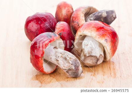 Fresh Rosy Russula fungi on wooden plate 16945575