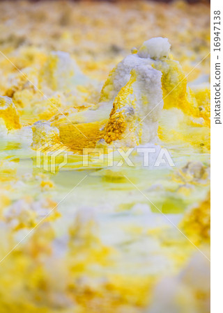 達納基爾沙漠 達納基爾沙漠 16947138