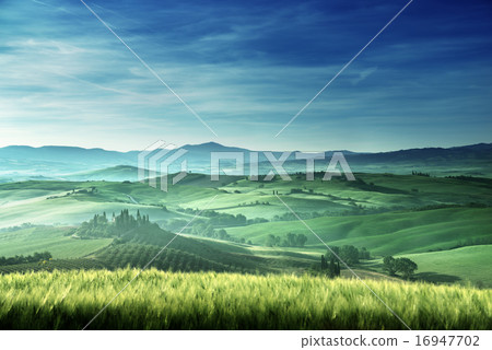 Early spring morning in Tuscany, Italy 16947702